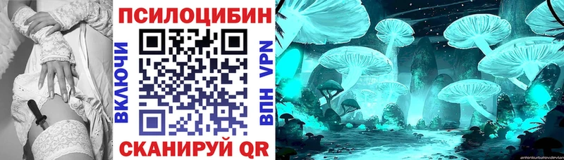 гидра как зайти  Советский  Псилоцибиновые грибы Magic Shrooms 