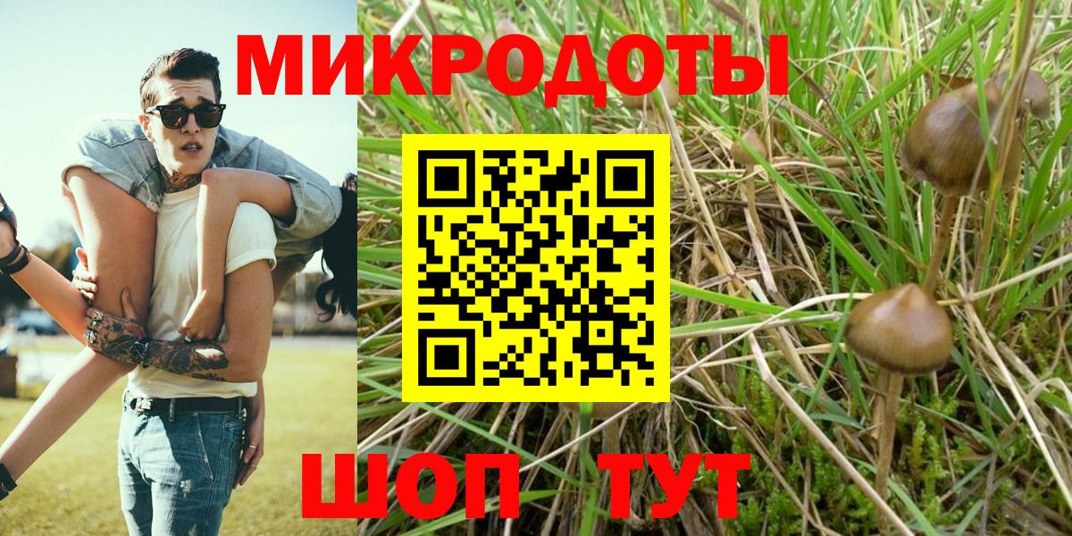 Советский  Галлюциногенные грибы Psilocybine cubensis  Вход с VPN 